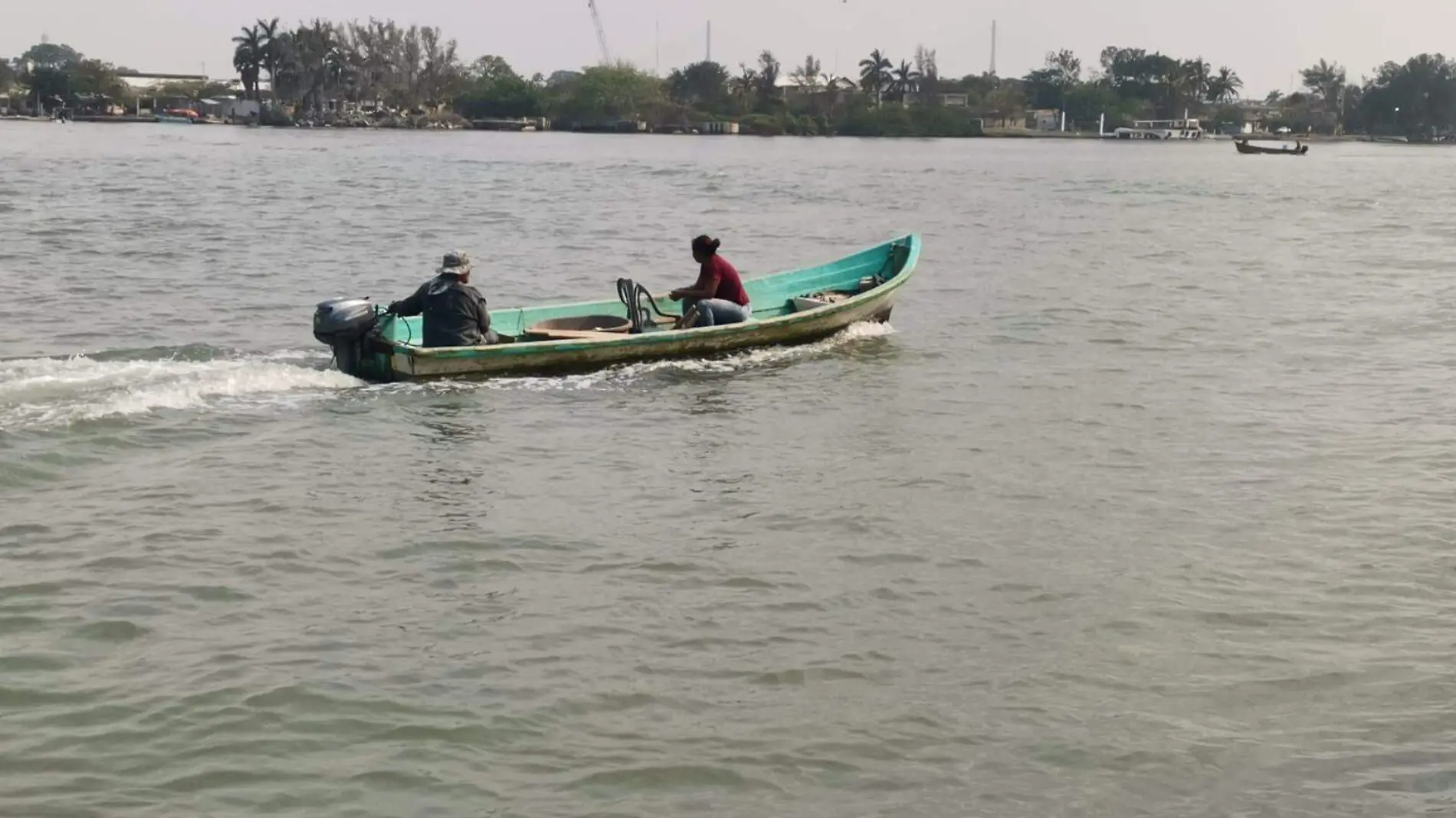 Escasez de pescado y marisco en Veracruz y Tamaulipas: efectos de la depresión hídrica